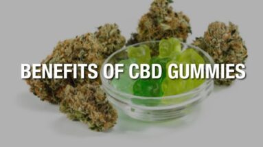 Pure CBD Gummies Dr Oz Price [WATCH! Important Info!]