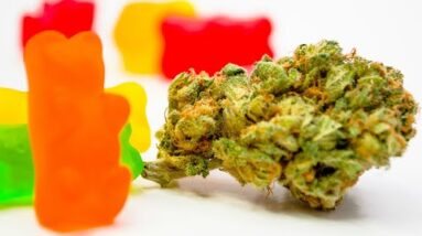 Where To Get Delta 8 THC Gummies Online (2021 UPDATE!)